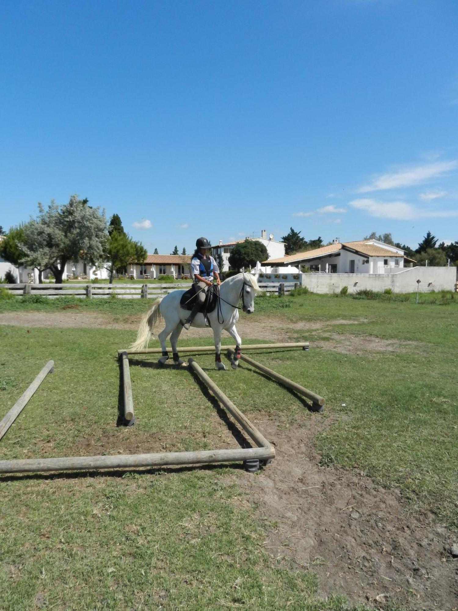 Mas De La Grenouillere Hotel Et Centre Equestre En Pleine Nature Saintes-Maries-de-la-Mer Dış mekan fotoğraf